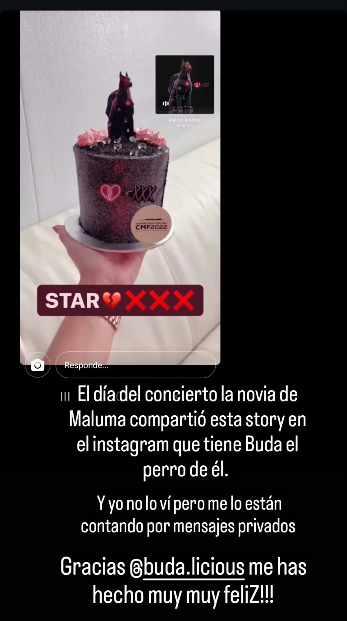 Historia de Instagram con la tarta de Maluma en el festival